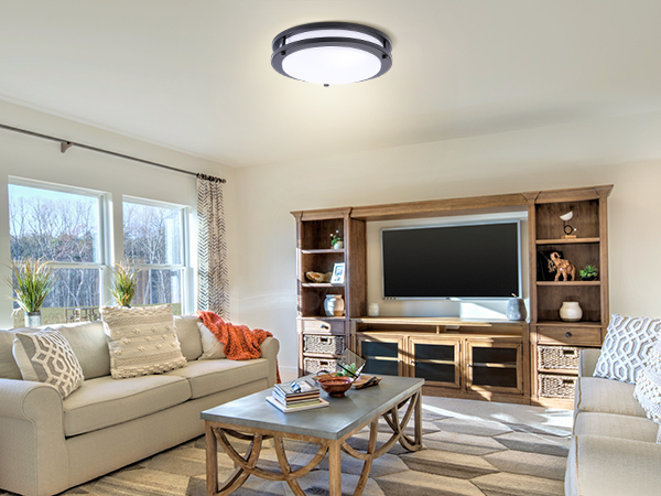 living room ceiling light