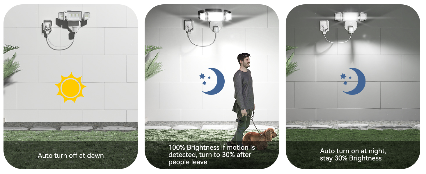 Dusk to Dawn Outdoor Lights