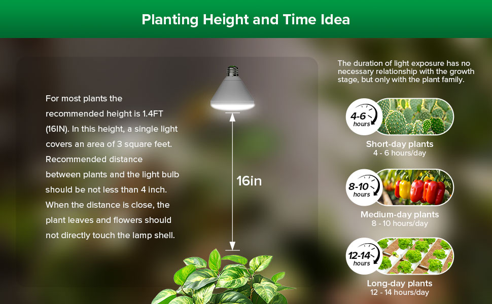 Planting Height and Time Idea