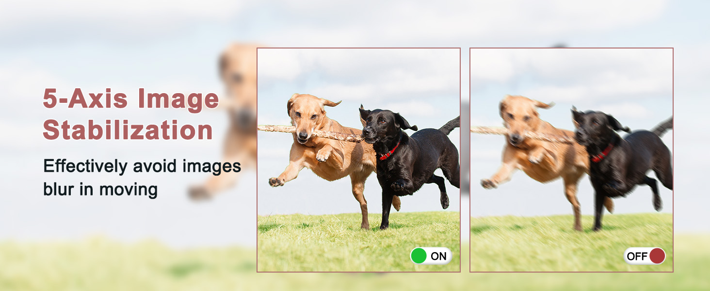 cameras for photography