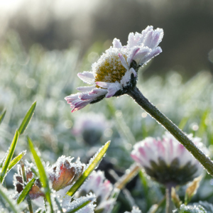 taylor precision products rain gauge