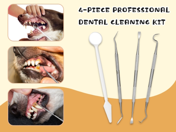 Plaque Remover for Teeth