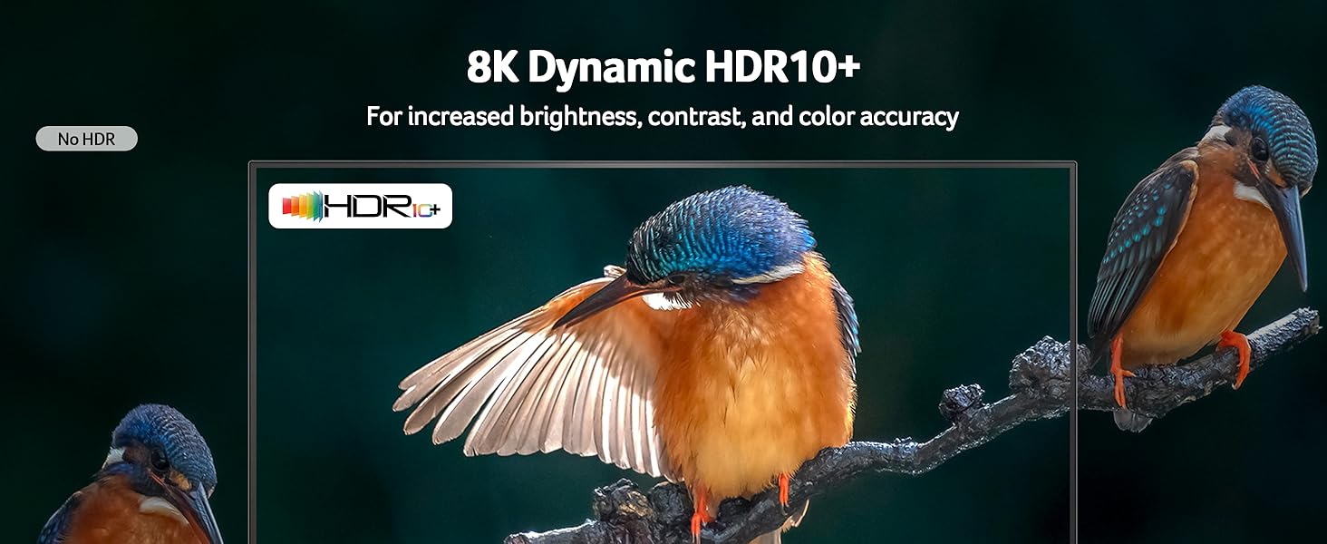 Text reads '8K Dynamic HDR 10+'. Dark promotional images showing what appears to be entertainment or gaming content with dramatic lighting.