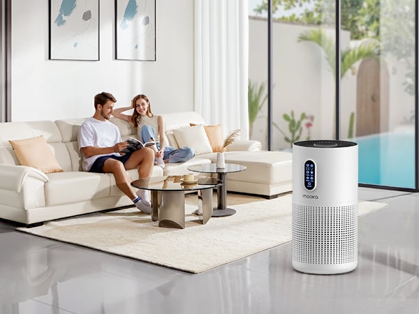 air purifier for living room