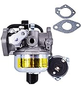 Carburetor Fits for Onan 146-0663, Carb with Gaskets 146-0577 &amp; 146-0630 BGE spec K-P. BGD &amp; BGDL...