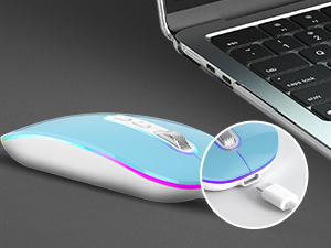Portable Computer Mice for PC, Tablet, Laptop with Windows System