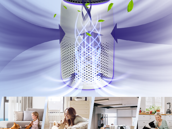 levoit core mini-p replacement filter