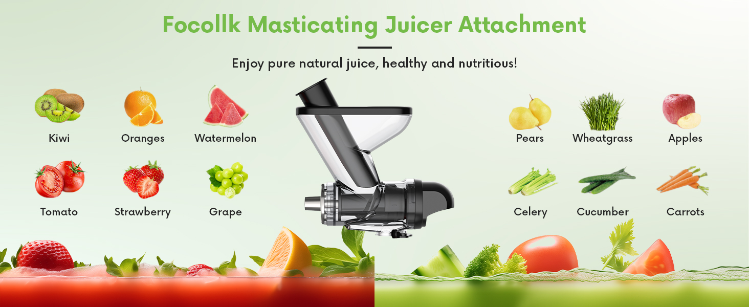 Masticating Slow Juicer Attachment with Dual Mouth Feed Chute
