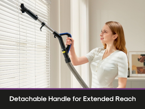 Detachable Handle for Extended Reach