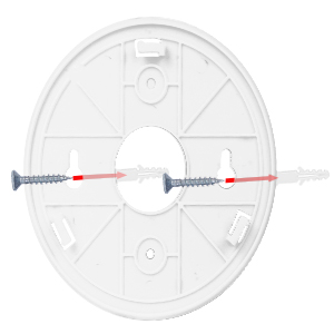 2 in 1 CO &amp;amp; Smoke Alarm