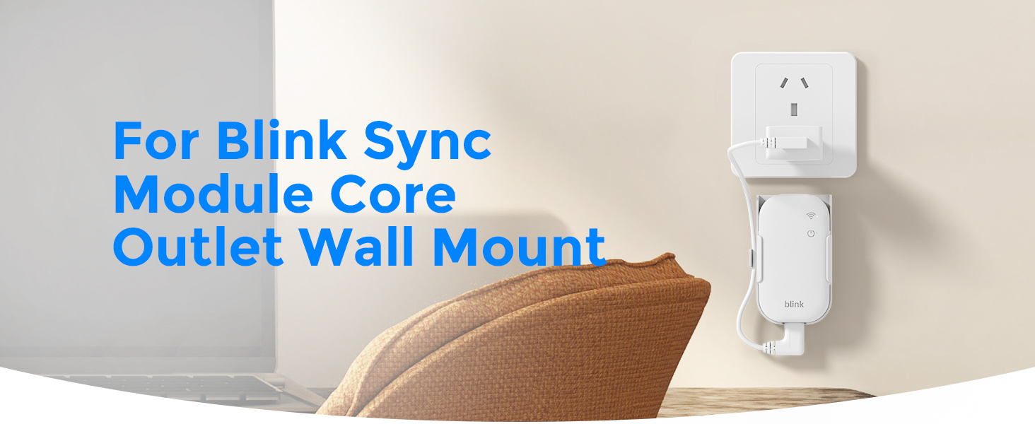 Blink Sync Module Core