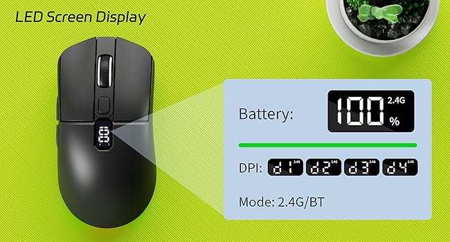 mouse