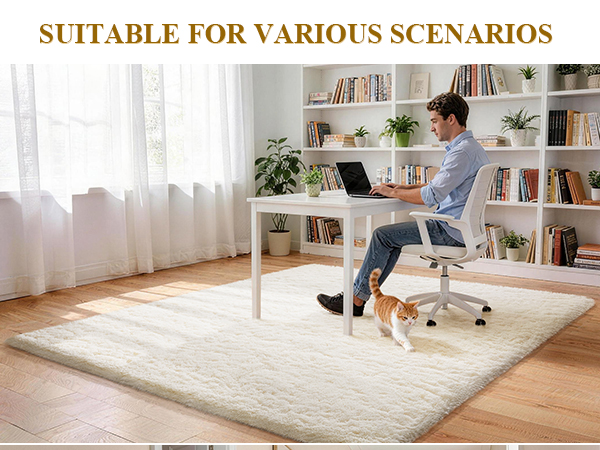 area rug