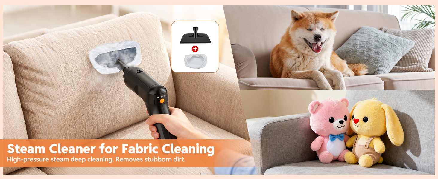 steam cleaner for home