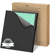 EVALIT Genuine ET066 Air Purifier Replacement Filter for ET066 Air Purifier, Washable HEPA 3-Stag...