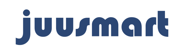 juusmart-iPhone Charger