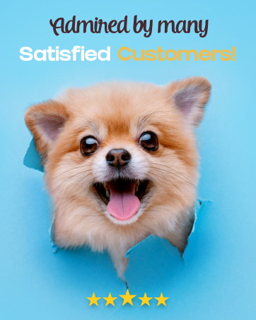 Dog Food Mat