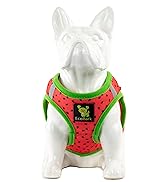 teacup dog harness watermelon dog harness summer dog harness fruit xxs halter harness vest