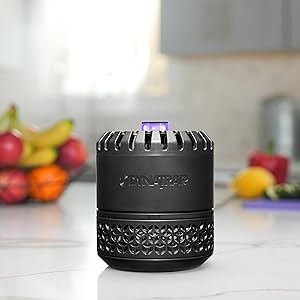 DynaTrap Indoor Insect Trap is easy to use