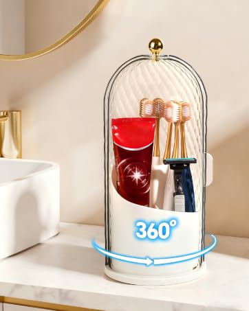 toothbrush holder