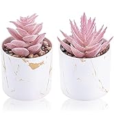 Der Rose Set of 2 Succulents Plants Artificial Mini Fake Succulents Plants for Home Office Desk A...