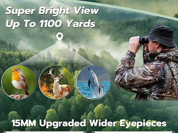 High Powered Binoculars