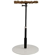 ASHATA Play Stand, Bird Perch, Portable Detachable Play Stand for Indoor Outdoor Traveling Birds ...