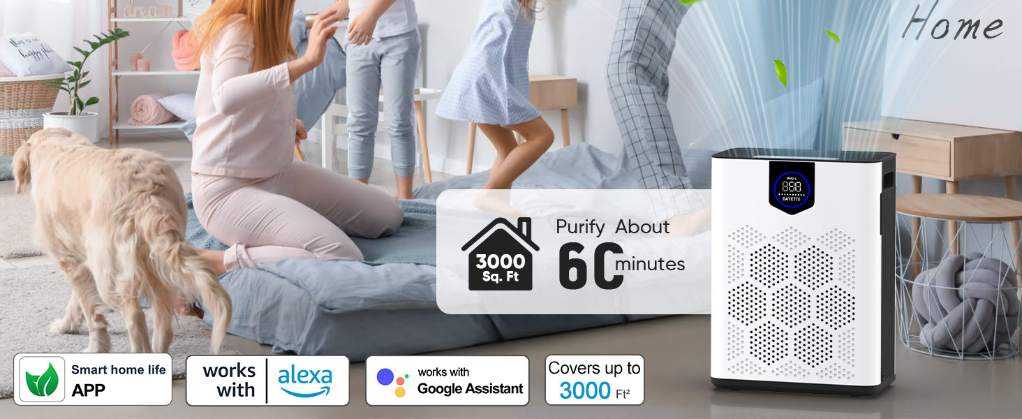 air purifiers for home large room