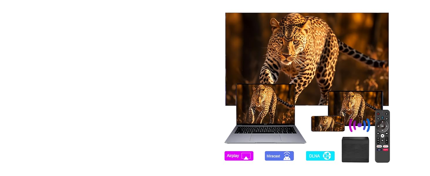 Mini Tv box for built in cast