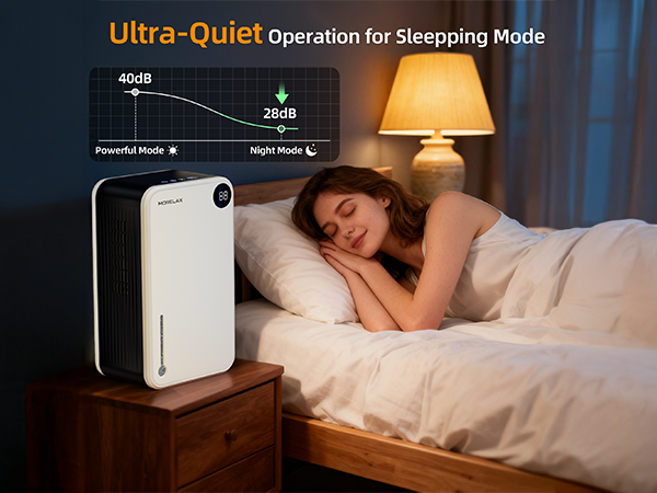 home Dehumidifier