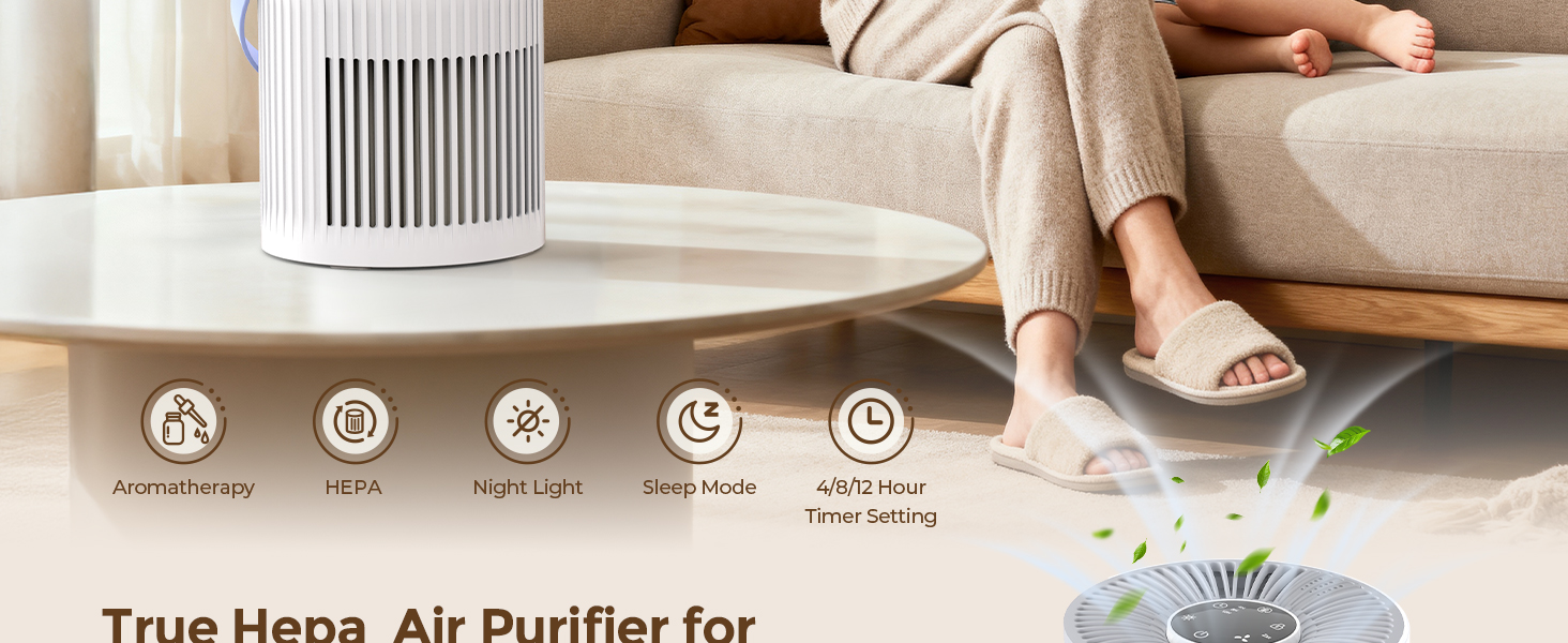 air purifiers for home