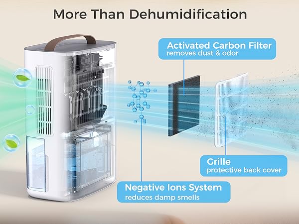 Dehumidifiers for Home