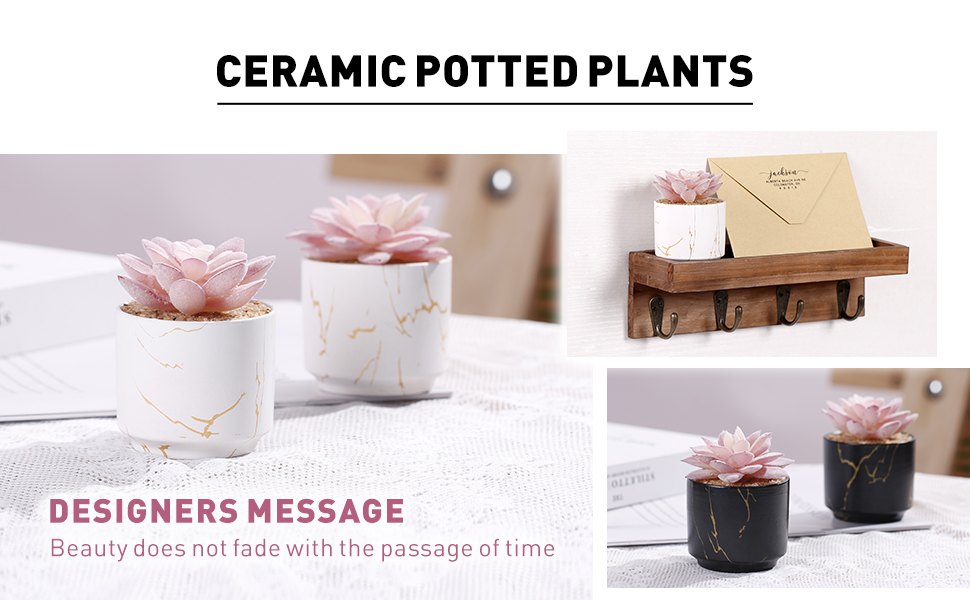 succulents plants artificial
