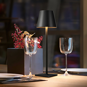 sophisticated and modern appearance