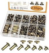 zDwfDc 115Sets Chicago Screws for Leather Rivet Kit M5*4, 5, 6, 8, 10, 12, 15 Bronze Brass Rivets...