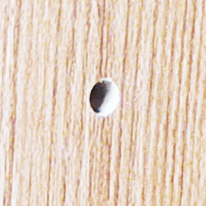 shelf support pegs,shelf pegs,shelf pins,cabinet shelf pegs,shelf pegs &amp;amp; pins,shelf pegs for shelves
