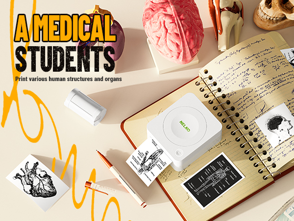 sticker printer mini printer Nelko sticker printer PM230 Bluetooth sticker printer print pods