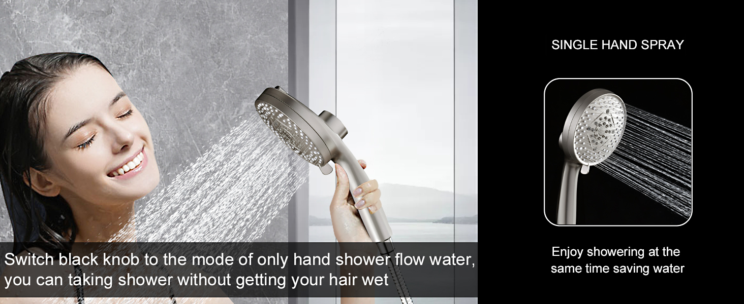 shower head with handheld
