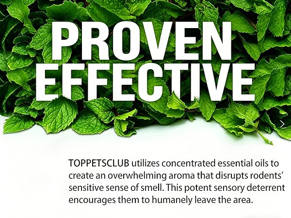 Pest Rodent Repellent