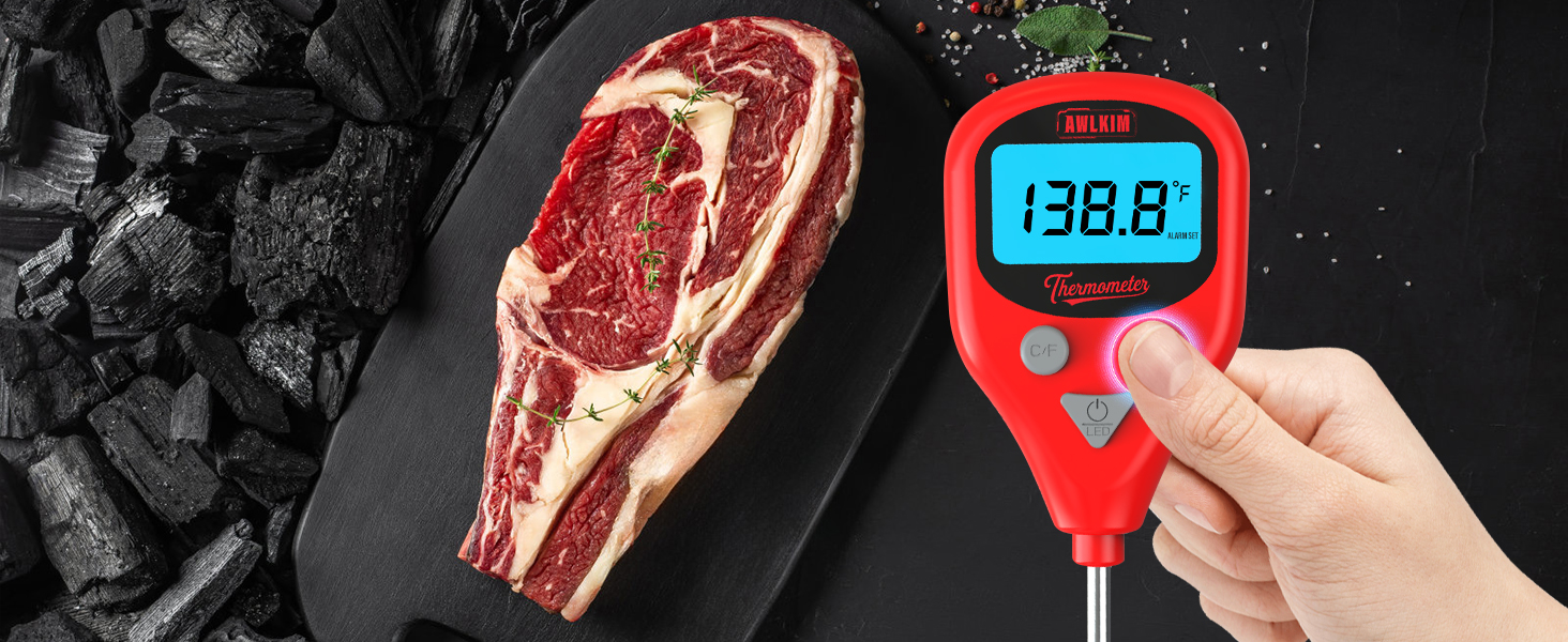 meat thermometer digital