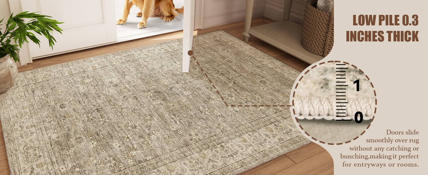 Low pile area rugs for entryway