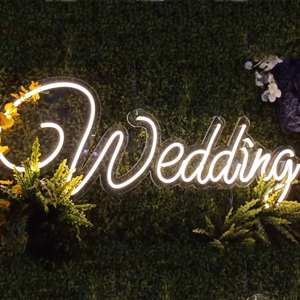 led neon light