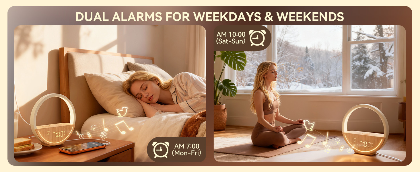 dual alarms