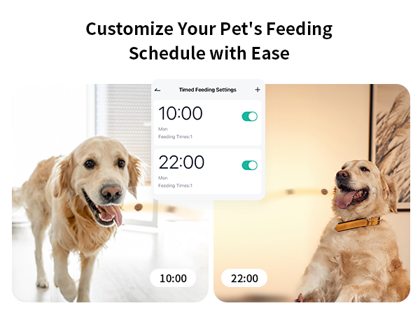 Customize Feeding Plan-p