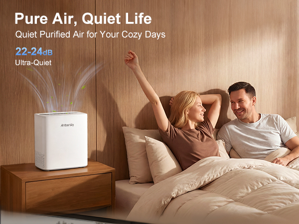 Living Room Air Purifier