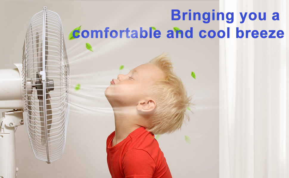 fan duster
