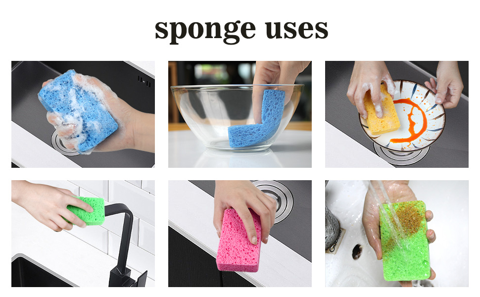 dish sponge