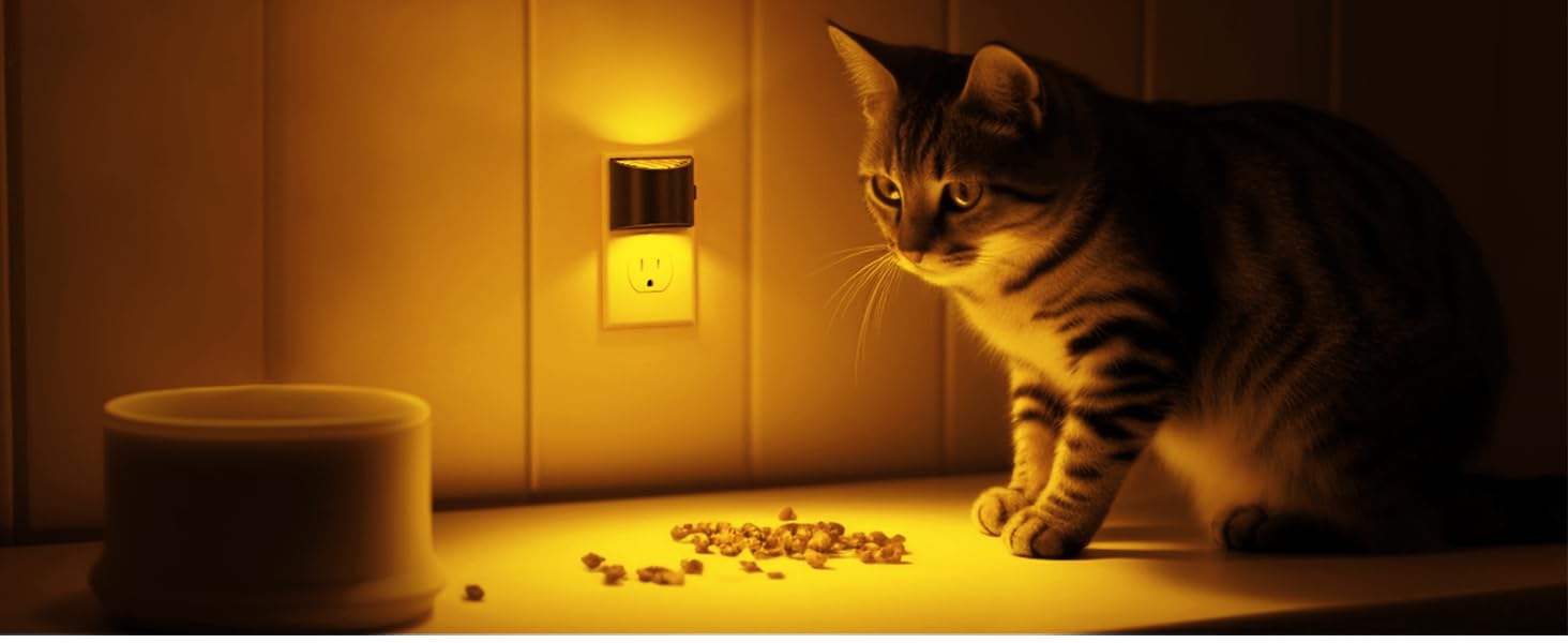 bathroom night light