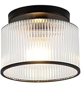 Zlepmlla Ceiling Light Fixture with Clear Glass Shade,Black Finish, Close to Ceiling Design, 6121...