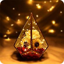 fairy string lights